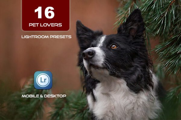 16 پریست رنگی لایت روم حرفه ای تم حیوانات خانگی دوست داشتنی Pet Lovers Lightroom Presets