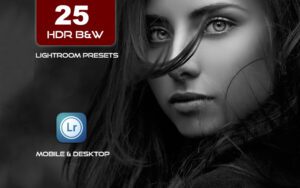 25 پریست لایت روم 2023 جدید تم سیاه و سفید Ultra HDR B&W Lightroom Presets