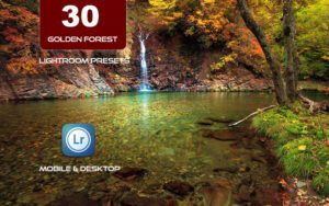 30 پریست لایت روم حرفه ای 2022 تم جنگل طلایی Golden Forest Lightroom Presets