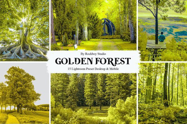 30 پریست لایت روم حرفه ای 2022 تم جنگل طلایی Golden Forest Lightroom Presets