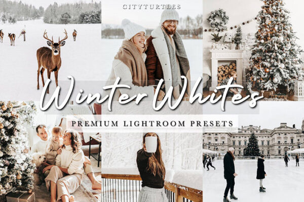 57 پریست لایت روم 2023 زمستان Bright Clean WINTER WHITES Holiday Lightroom Preset