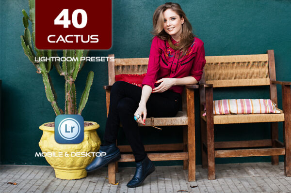 40 پریست لایت روم 2023 حرفه ای و پریست کمرا راو تم کاکتوس Cactus Lightroom Presets