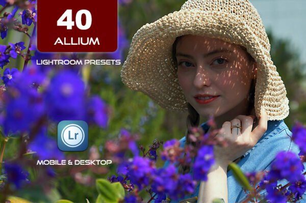 40 پریست لایت روم 2023 حرفه ای و پریست کمرا راو تم رنگی بنفش Allium Lightroom Presets