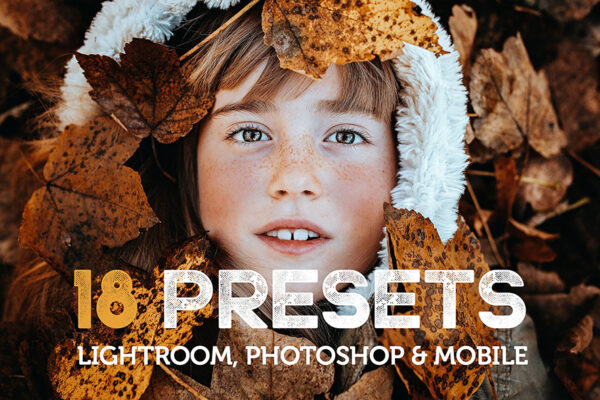 دانلود پریستهای لایت روم بنام Bjorndale Presets - Desktop & Mobile