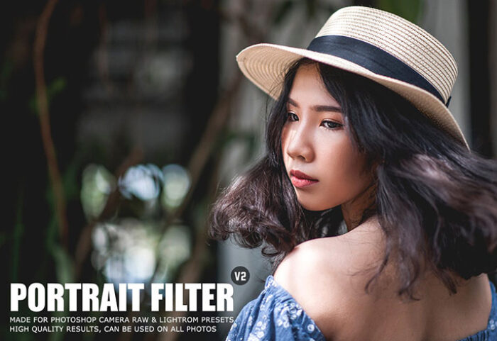 دانلود 10 پریست لایت روم : Pro Portrait Lightroom Presets Ver.2