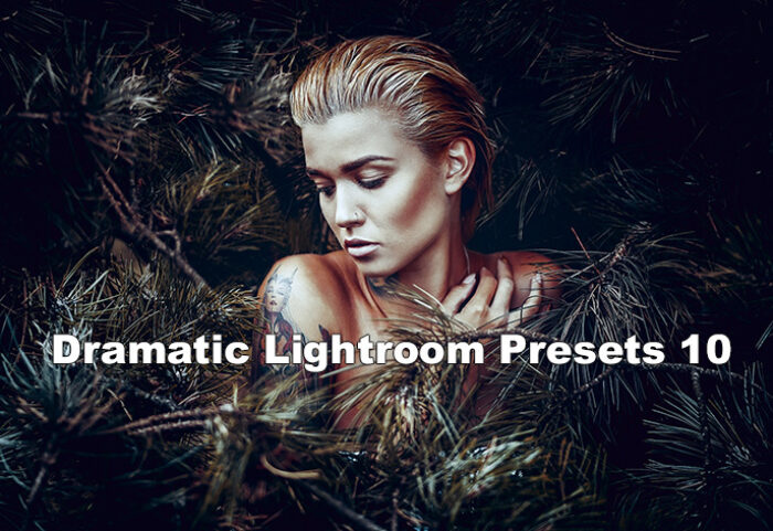 دانلود 10 پریست لایت روم graphicriver Dramatic 10 Lightroom Presets