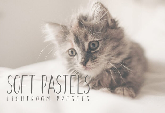 دانلود 10 پریست لایت روم حرفه ای : Soft Pastel Lightroom Presets