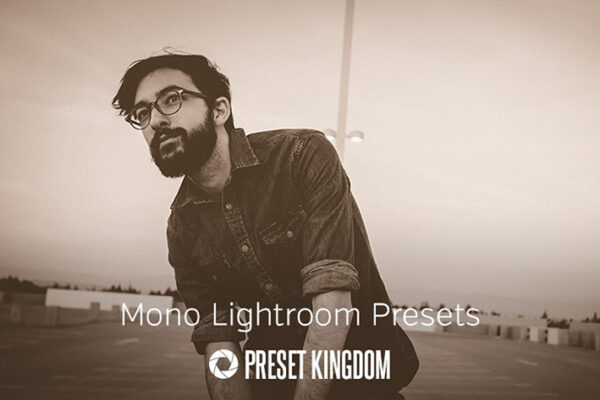 دانلود 10 پریست لایت روم زیبا Mono Lightroom Presets