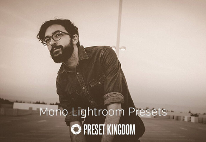 دانلود 10 پریست لایت روم زیبا Mono Lightroom Presets