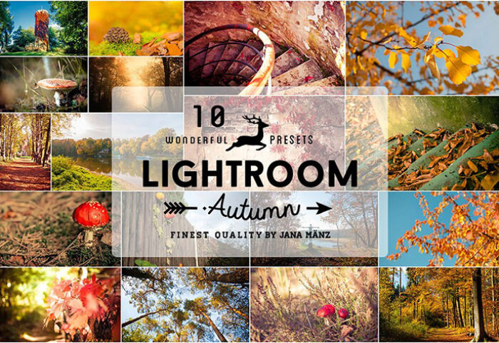 دانلود 10 پریست لایت روم فوق حرفه ای پاییزی : Autumn Vintage Lightroom Presets
