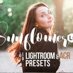 دانلود 14 پریست لایت روم فوق حرفه ای : Sunflower Lightroom ACR Presets
