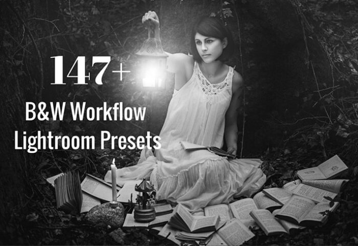 دانلود 147 پریست لایت روم Black White Lightroom Presets Bundle