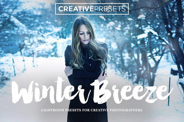 دانلود 16 پریست لایت روم حرفه ای : Winter Breeze Lightroom Presets