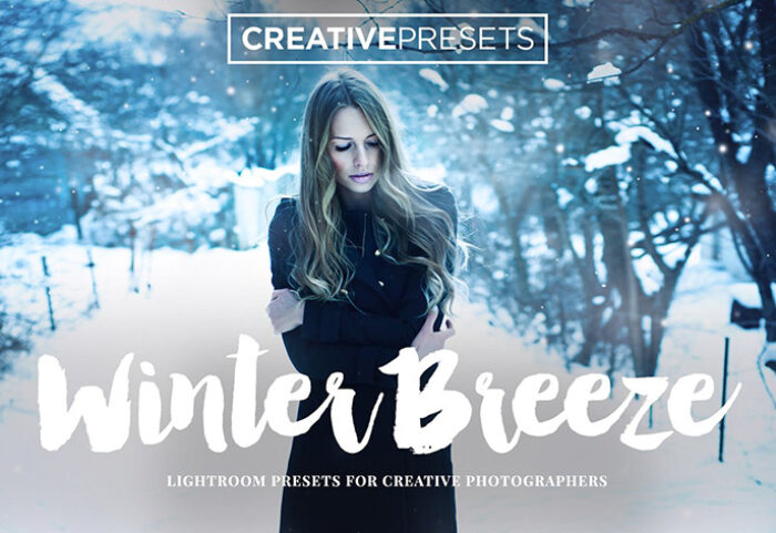 دانلود 16 پریست لایت روم حرفه ای : Winter Breeze Lightroom Presets