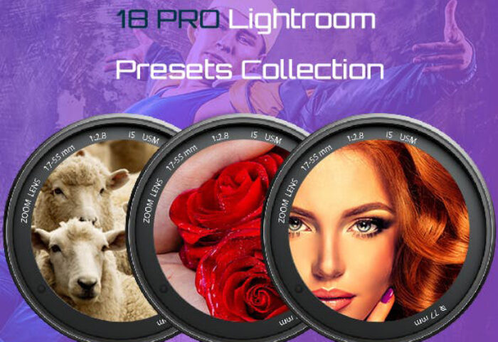 دانلود 18 پریست لایت روم Graphicriver 18 Professional Lightroom Presets