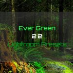 دانلود 20 پریست لایت روم Ever Green 22 Lightroom Presets