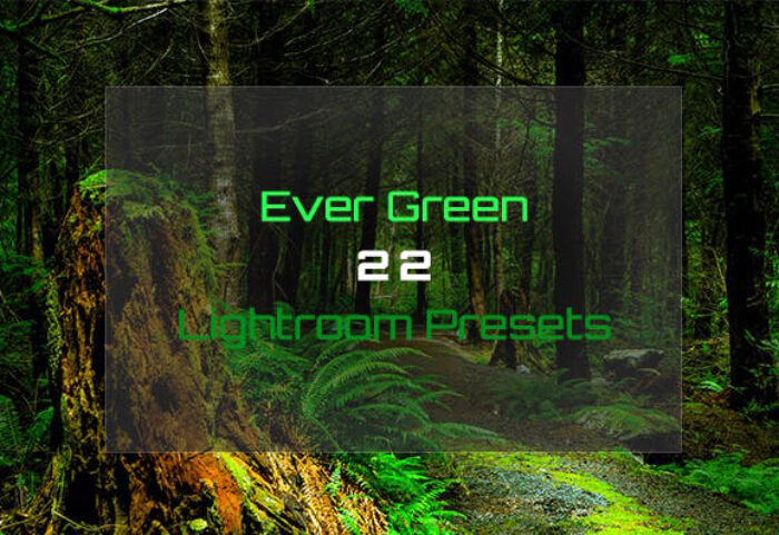 دانلود 20 پریست لایت روم Ever Green 22 Lightroom Presets