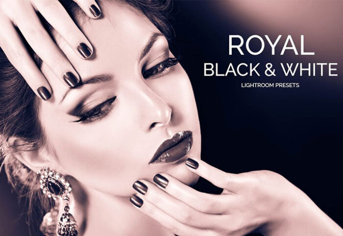 دانلود 20 پریست لایت روم حرفه ای : Royal Black White Lightroom Presets