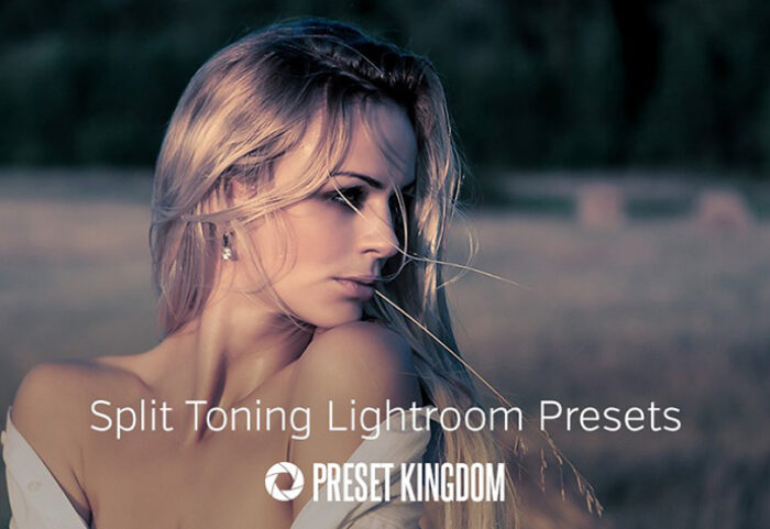 دانلود 23 پریست لایت روم زیبا Split Toning Lightroom Presets