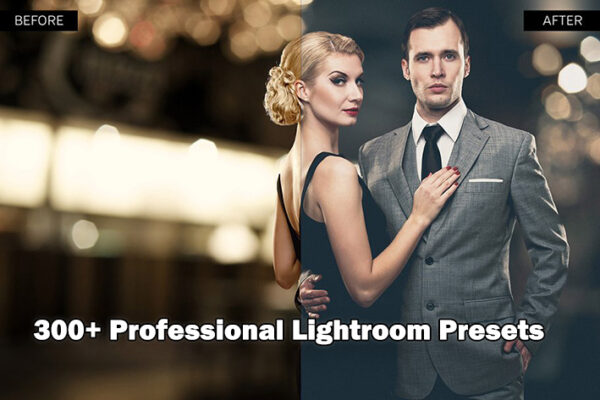 دانلود 300 پریست لایت روم Professional 300 Lightroom Presets bundle