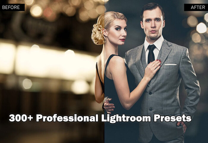 دانلود 300 پریست لایت روم Professional 300 Lightroom Presets bundle
