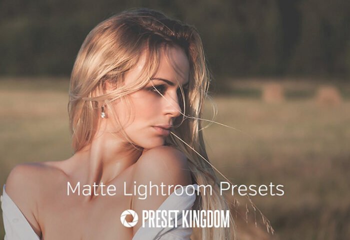 دانلود 40 پریست لایت روم زیبا : Matte Lightroom Presets