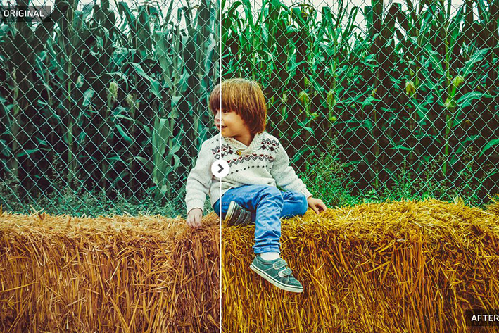 دانلود 50 پریست لایت روم پاییزی : Autumn 50 Lightroom Presets دانلود 50 پریست لایت روم پاییزی : Autumn 50 Lightroom Presets