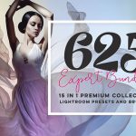 دانلود 625 پریست حرفه ای لایت روم : Expert Bundle Lightroom Presets