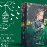 دانلود مجموعه پریست لایت روم بنام BRIGHT NATURAL LIGHTROOM PRESETS