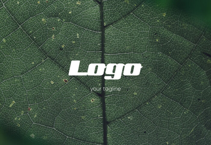 دانلود پروژه آماده پریمیر تیتراژ Logo Photo Intro