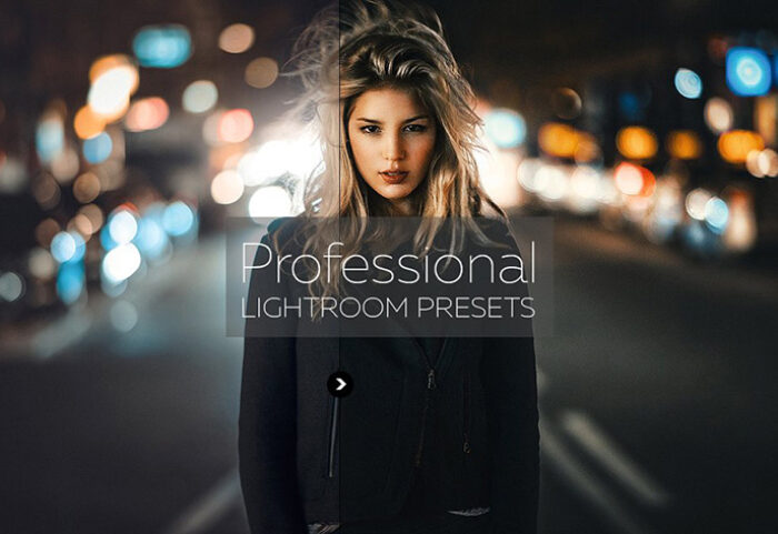 دانلود پریست فوق حرفه ای لایت روم Professional Lightroom Presets