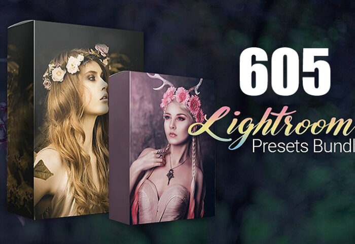 دانلود پکیج 605 پریست لایت روم حرفه ای : Pro 605 Lightroom Presets Bundle