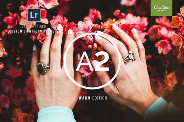 دانلود 222 پریست لایت روم حرفه ای : VSCO BUNDLE Lightroom Presets
