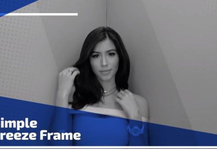 دانلود پروژه آماده پریمیر : اسلایدشو Simple Freeze Frame Premiere Pro Templates
