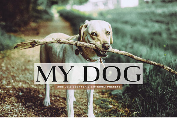 دانلود 11 پریست سینمایی لایت روم و Camera Raw فتوشاپ : My Dog Lightroom Presets