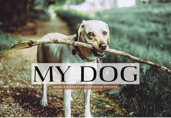 دانلود 11 پریست سینمایی لایت روم و Camera Raw فتوشاپ : My Dog Lightroom Presets