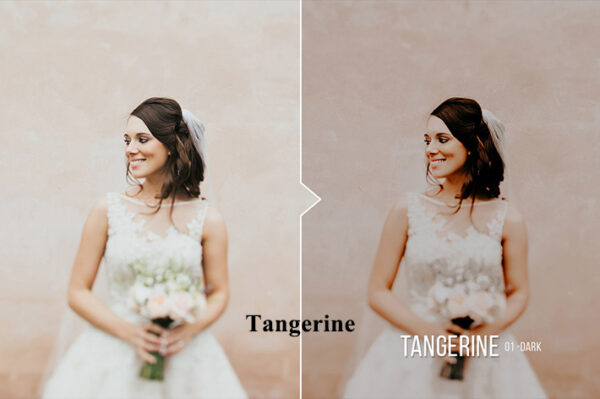 دانلود 20 پریست لایت روم : Tangerine 20 Portrait Presets for Lightroom & ACR