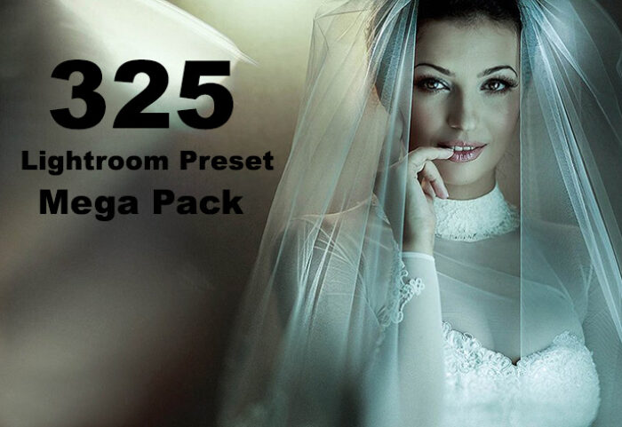 دانلود 325 پریست لایت روم حرفه ای : creativemarket 325 Lightroom Preset Mega Pack