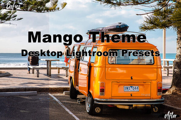 دانلود 5 پریست لایت روم دسکتاپ : Neo Mango Theme Desktop Lightroom Presets