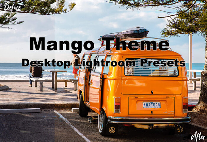 دانلود 5 پریست لایت روم دسکتاپ : Neo Mango Theme Desktop Lightroom Presets