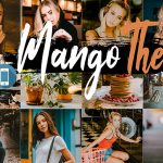 دانلود 5 پریست لایت روم موبایل : Neo Mango Theme mobile lightroom presets