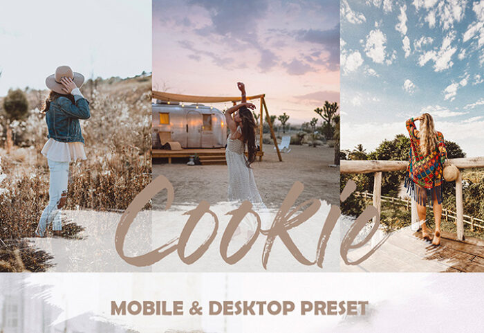 دانلود 4 پریست لایت روم برای دسکتاپ و موبایل : Cookie