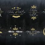 دانلود 8 تایتل آماده پریمیر مخصوص عروسی : Elegant Wedding Titles