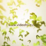 دانلود پروژه آماده افترافکت نمایش لوگو videohive Butterfly Logo