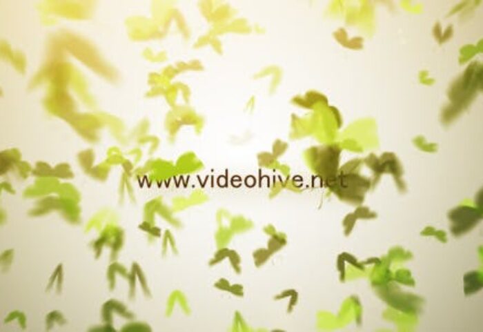 دانلود پروژه آماده افترافکت نمایش لوگو videohive Butterfly Logo