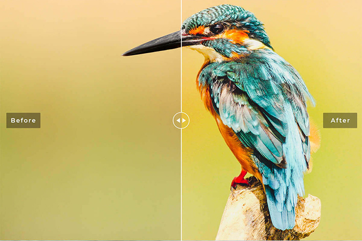 دانلود پریست لایت روم و Camera Raw و اکشن: Birds Wings Mobile Desktop Lightroom Presets دانلود پریست لایت روم و Camera Raw و اکشن: Birds Wings Mobile Desktop Lightroom Presets