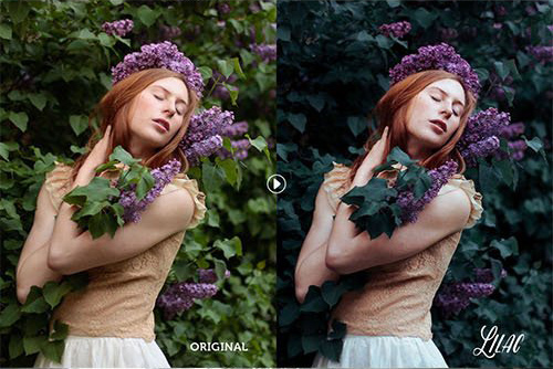 دانلود مجموعه پریست لایت روم دسکتاپ : Lilac Toning Lightroom Presets دانلود مجموعه پریست لایت روم دسکتاپ : Lilac Toning Lightroom Presets