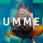 دانلود پروژه آماده افترافکت با موزیک اسلایدشو و تیتراژ Summer Dynamic Opener