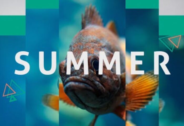 دانلود پروژه آماده افترافکت با موزیک اسلایدشو و تیتراژ Summer Dynamic Opener
