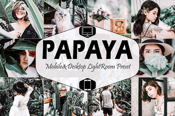 دانلود پریست لایت روم دسکتاپ و موبایل Papaya Mobile Desktop Lightroom Presets (1)